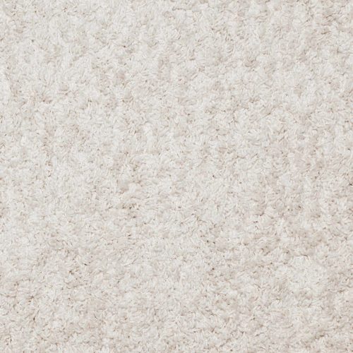 After Carpet Cleaning